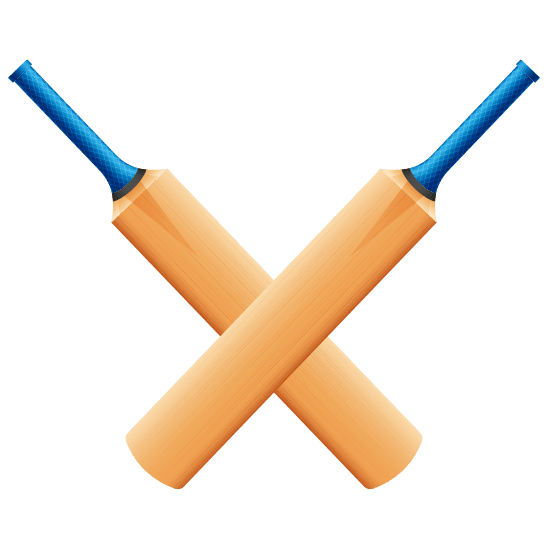DISNEY Standard Handle PLASTIC BAT NO - 4, For Cricket at Rs 225